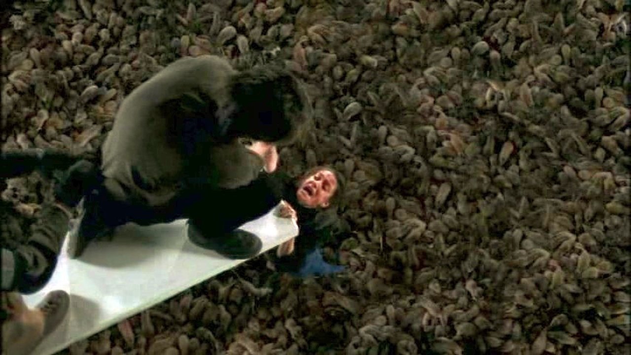 Imagens do Ratos em Nova Iorque Dublado Dublado Online