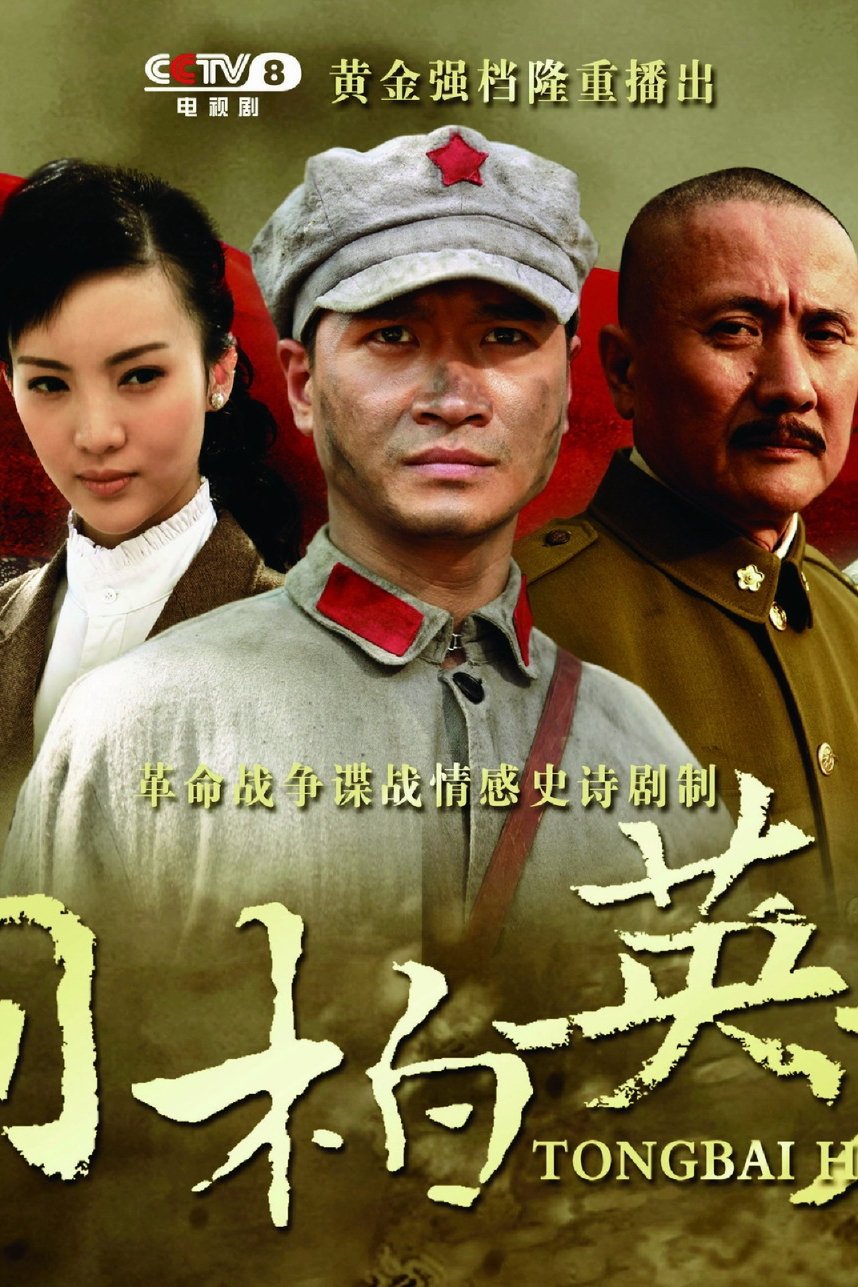 Poster de 桐柏英雄