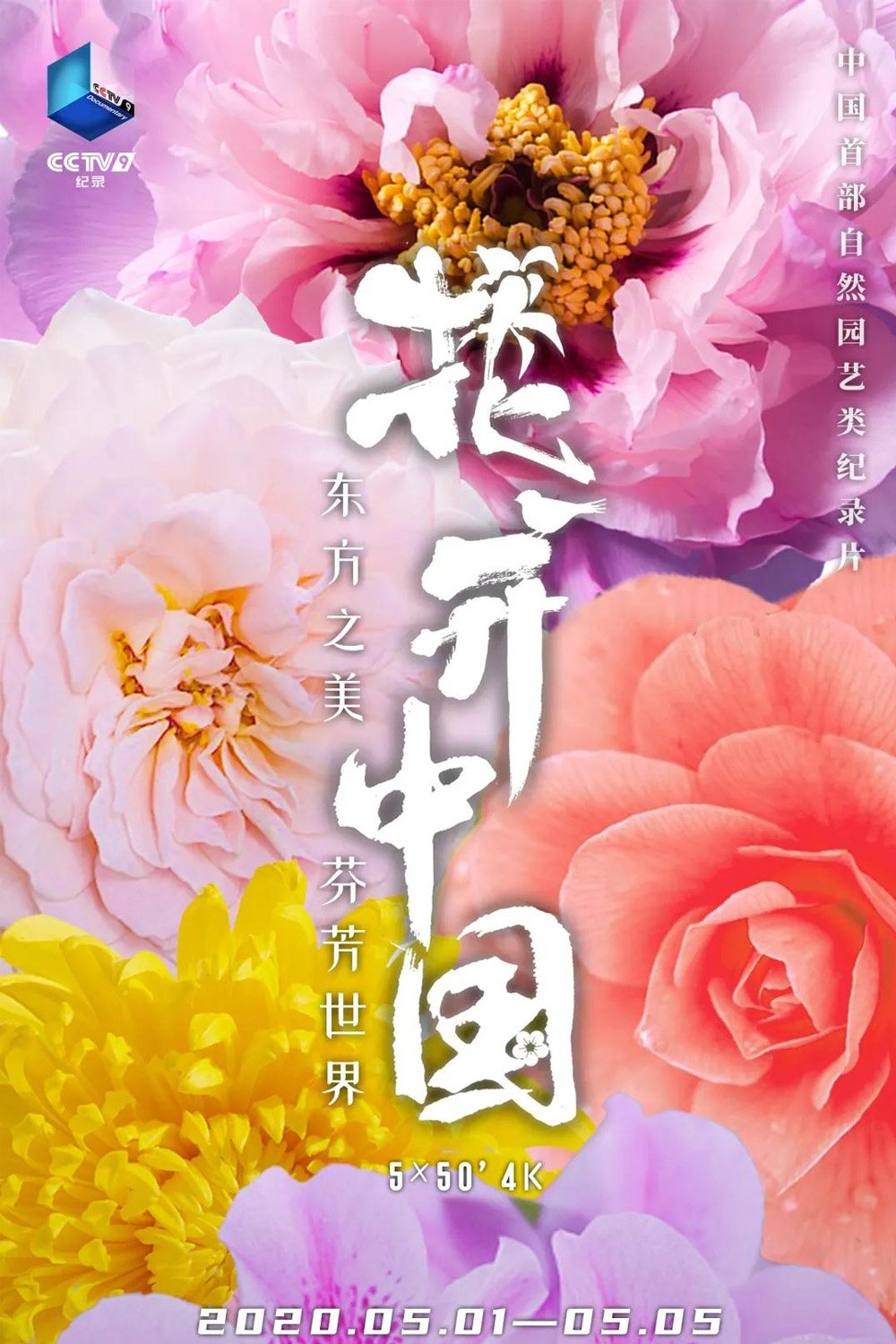 Poster de 花开中国