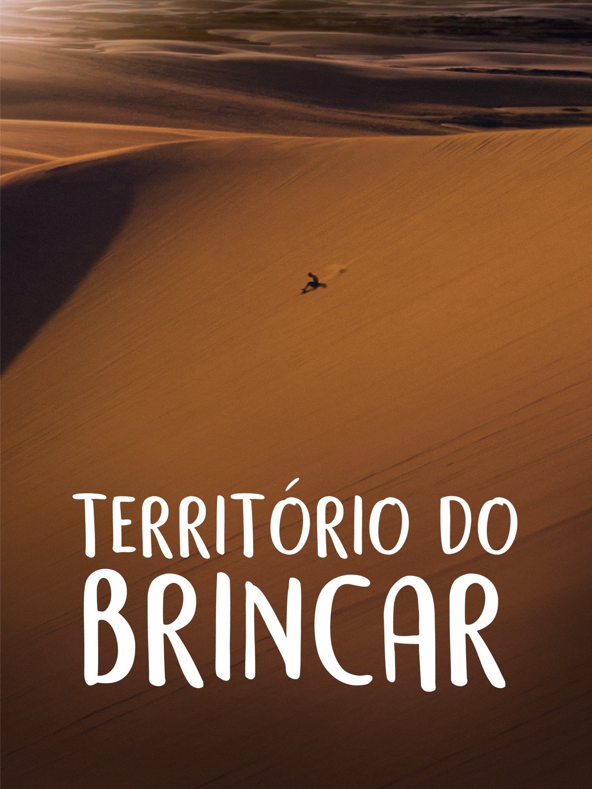 Poster de Território do Brincar