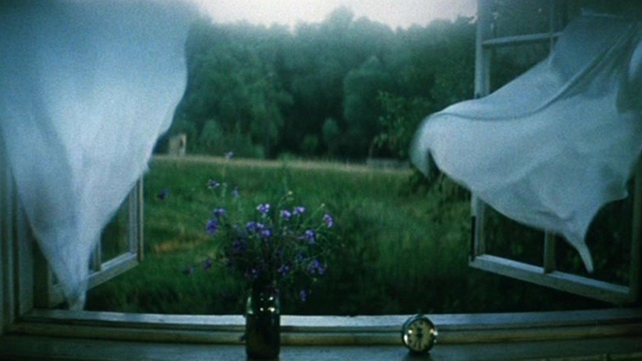 Backdrop image
