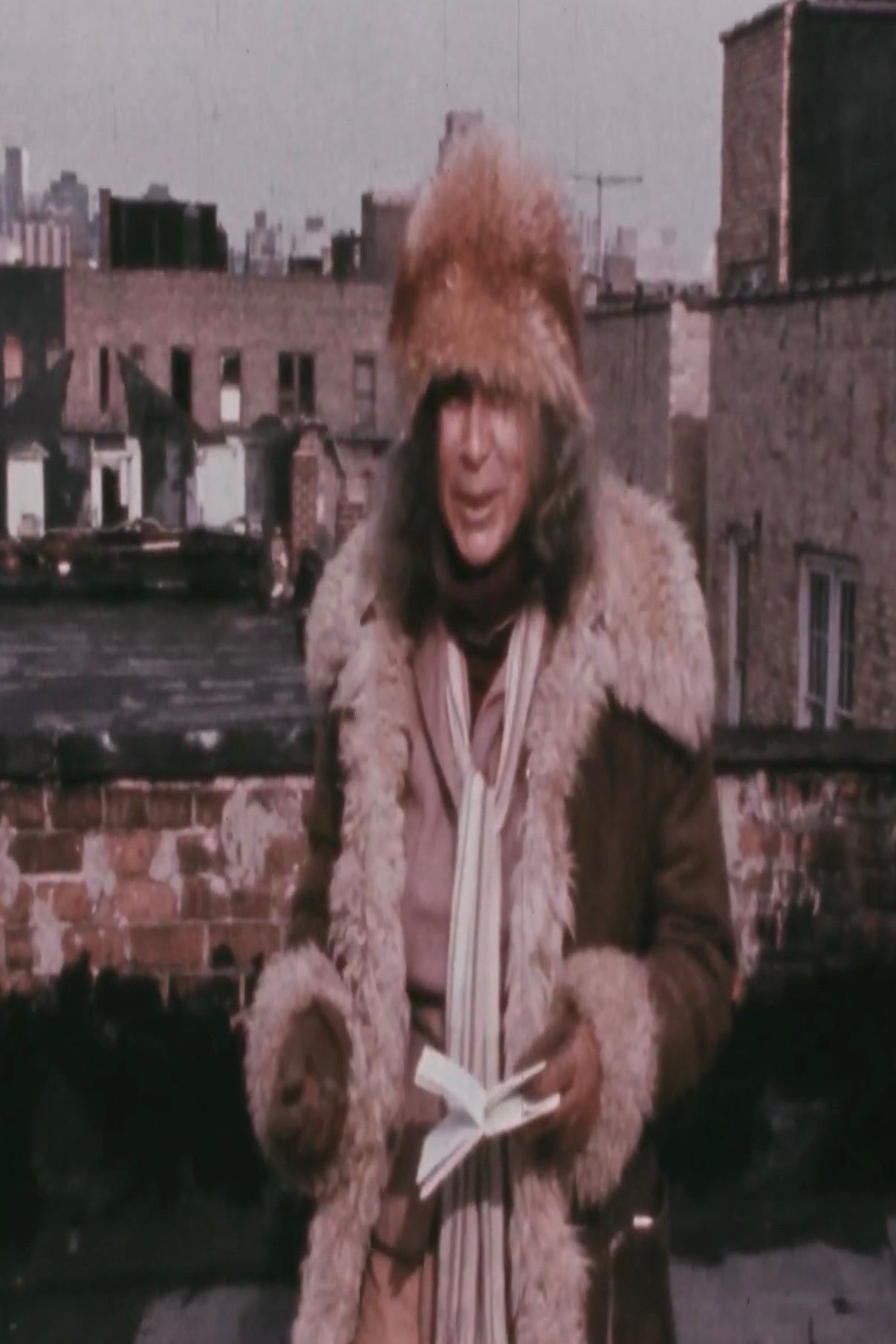 Poster de Plagiarism