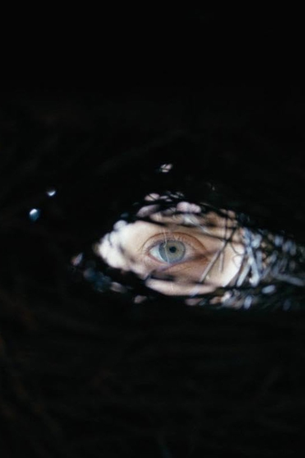 Affiche du film Shaman