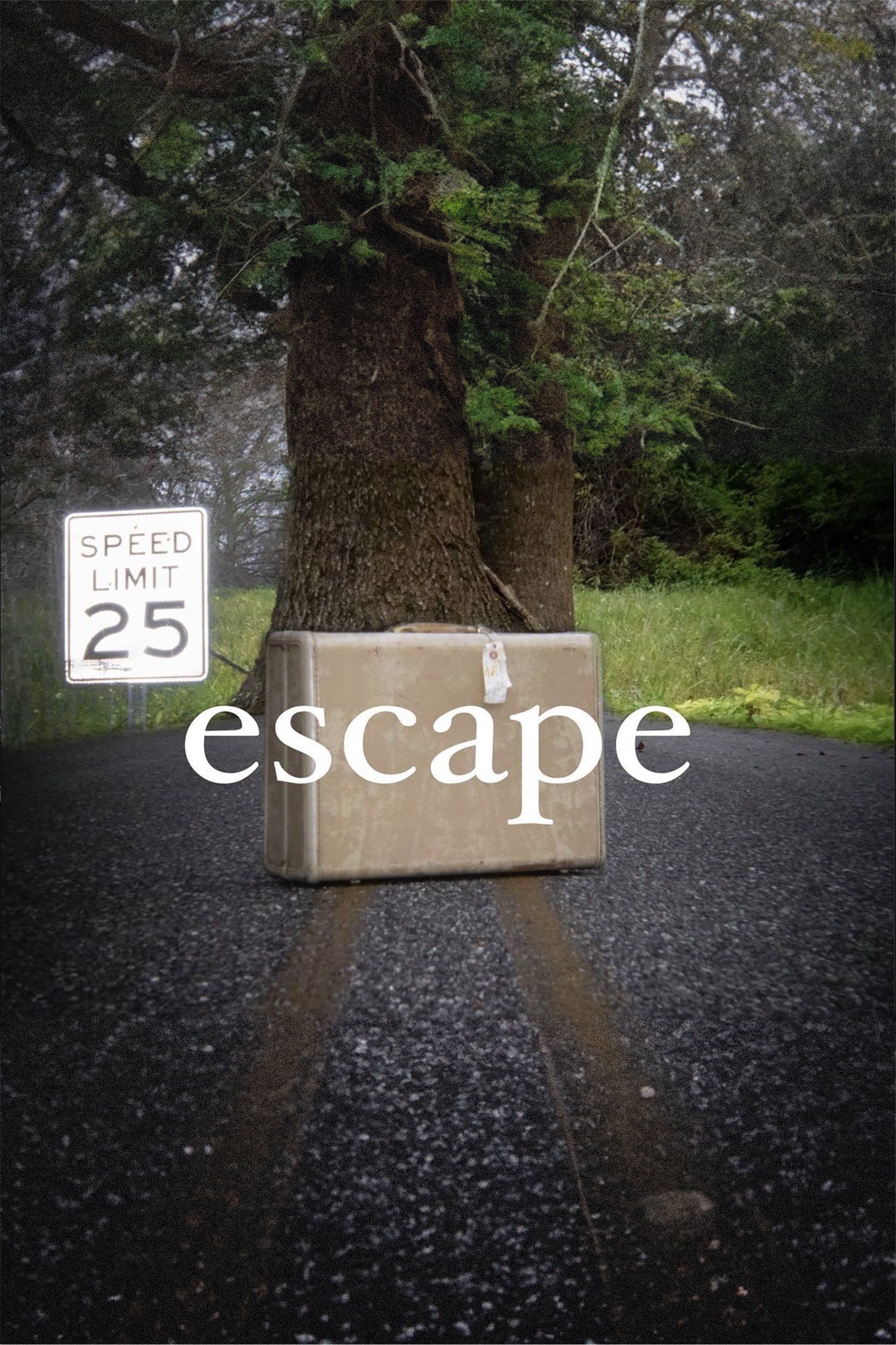 Poster de escape