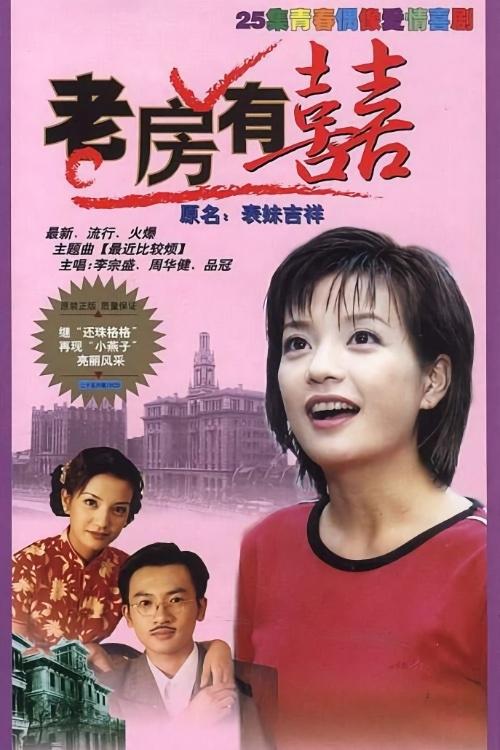 Poster de 老房有喜