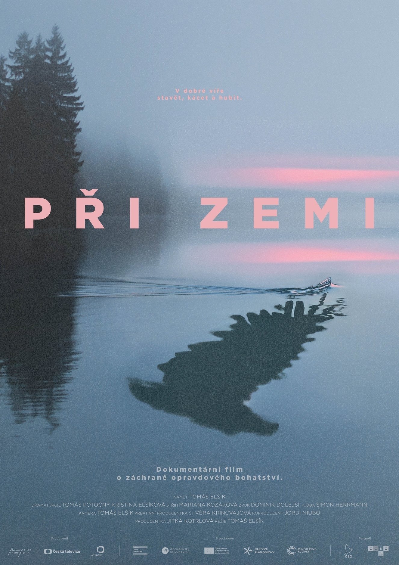 Poster de Při zemi