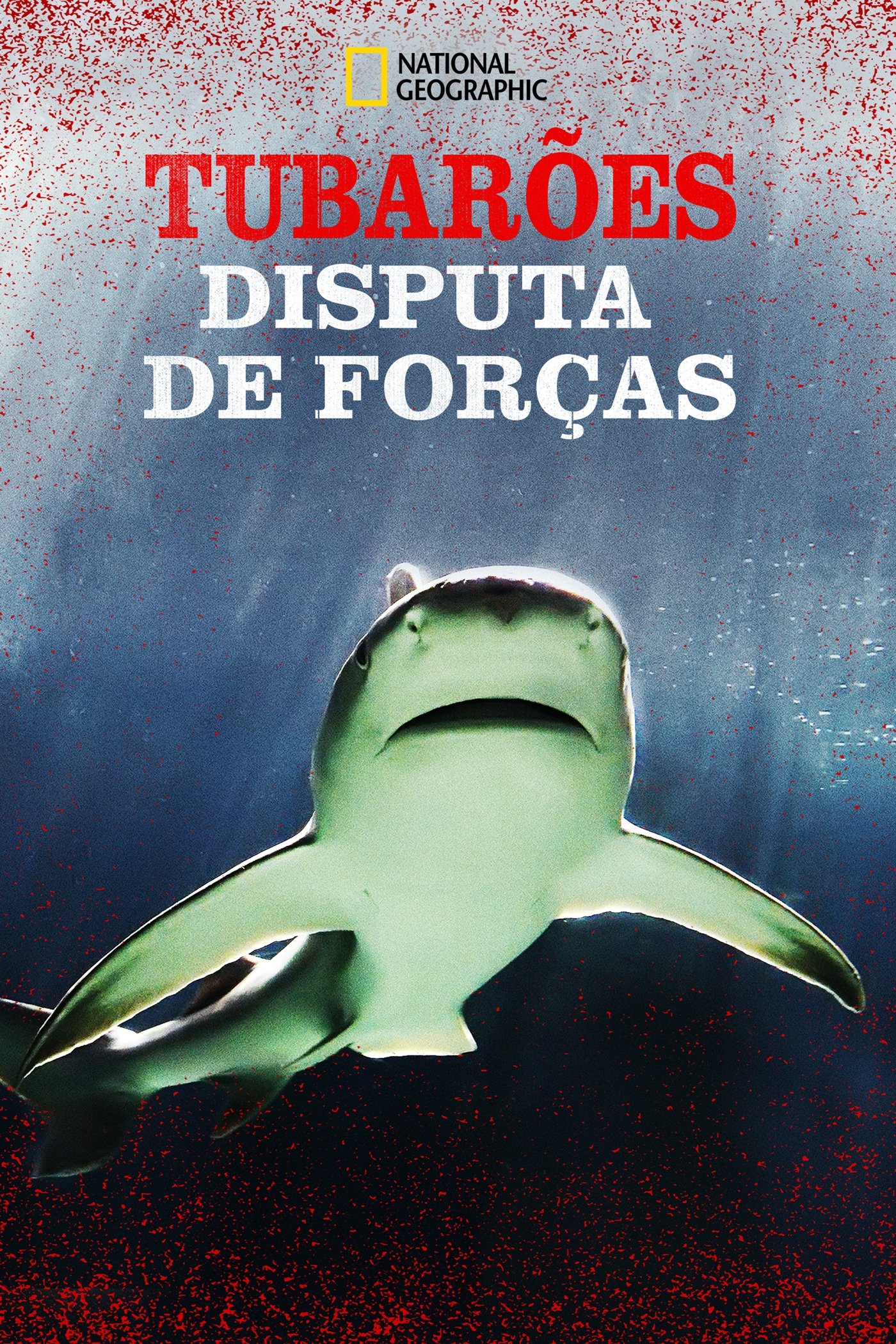 Poster de Tubarões: Disputa de Forças