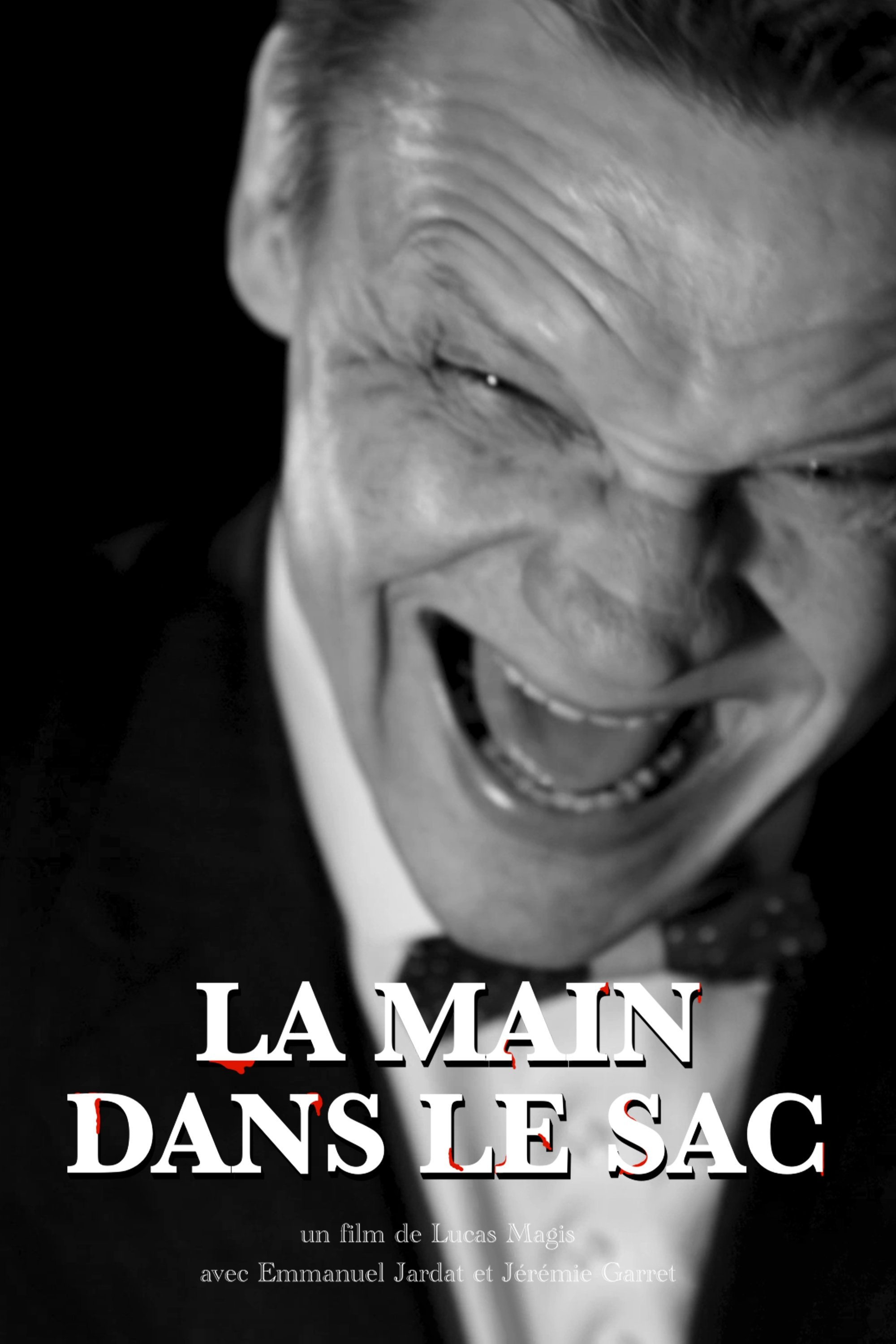 Poster de La Main dans le sac