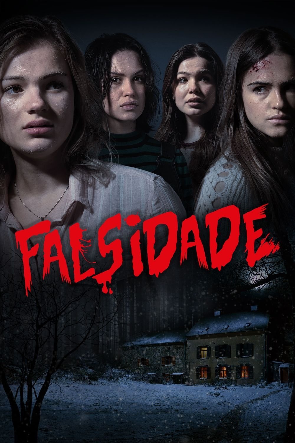 Poster de Falsidade