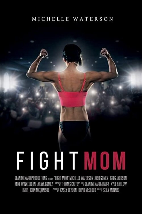 Poster de Fight Mom