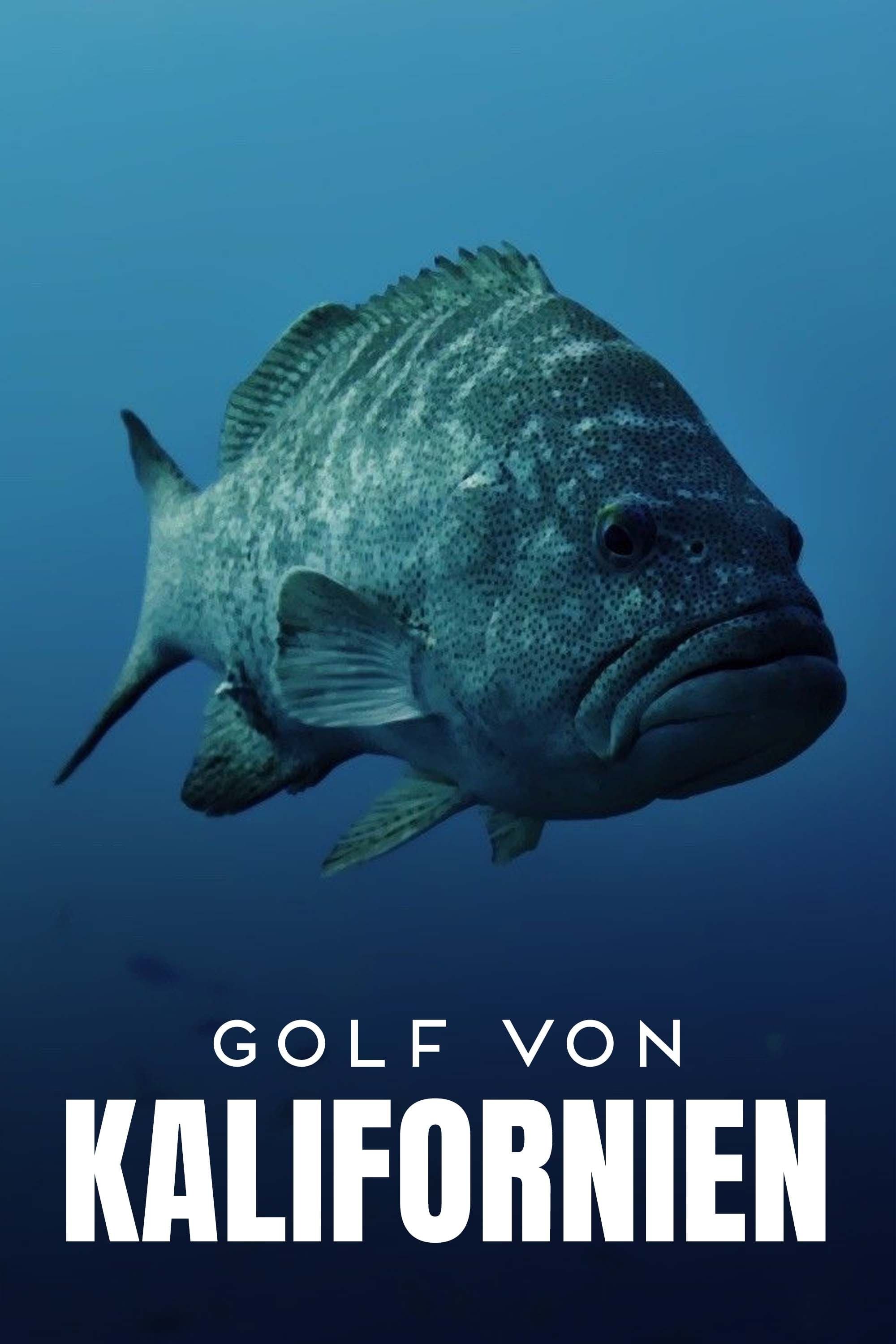 Poster de Golf von Kalifornien