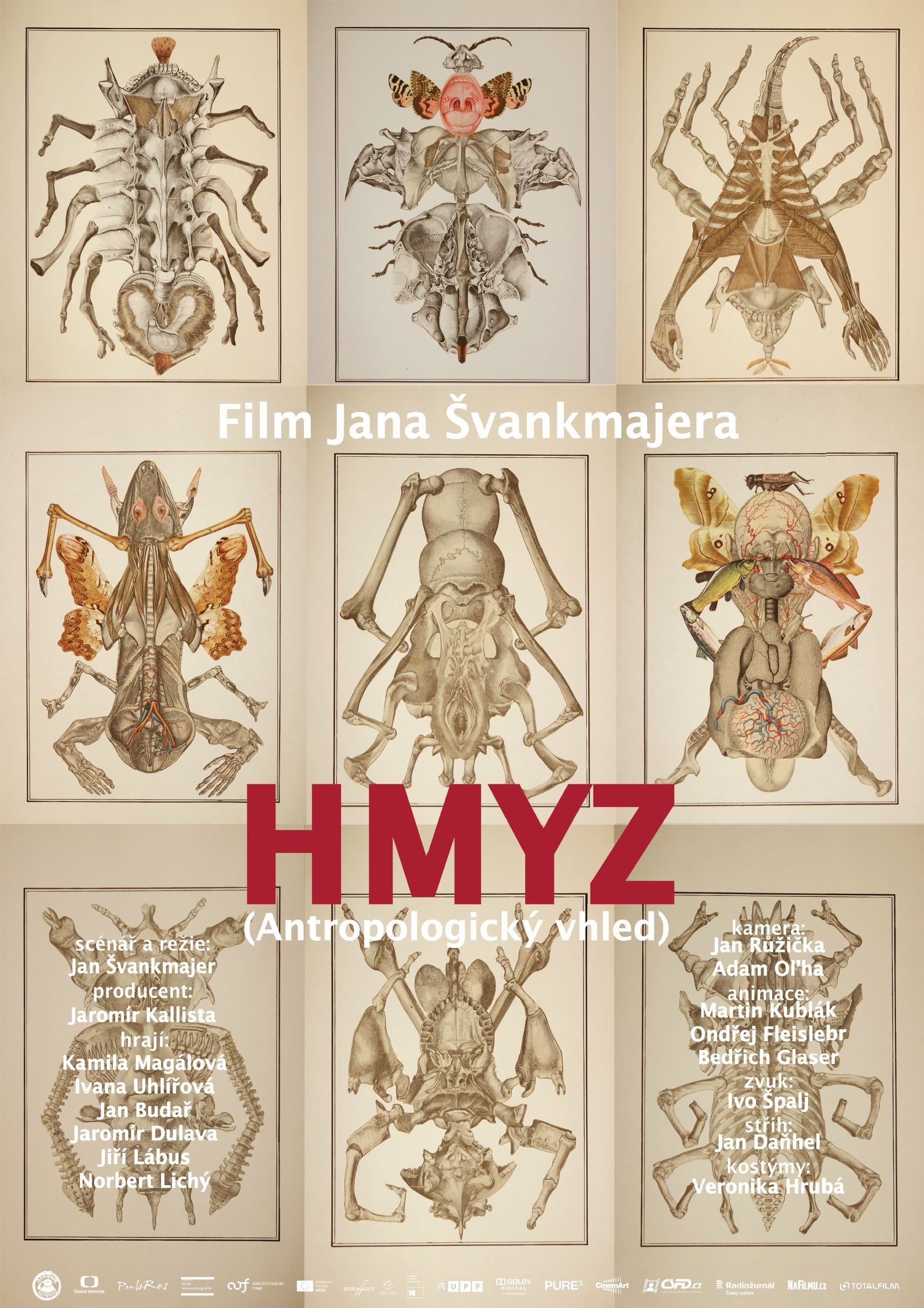 Poster de Hmyz