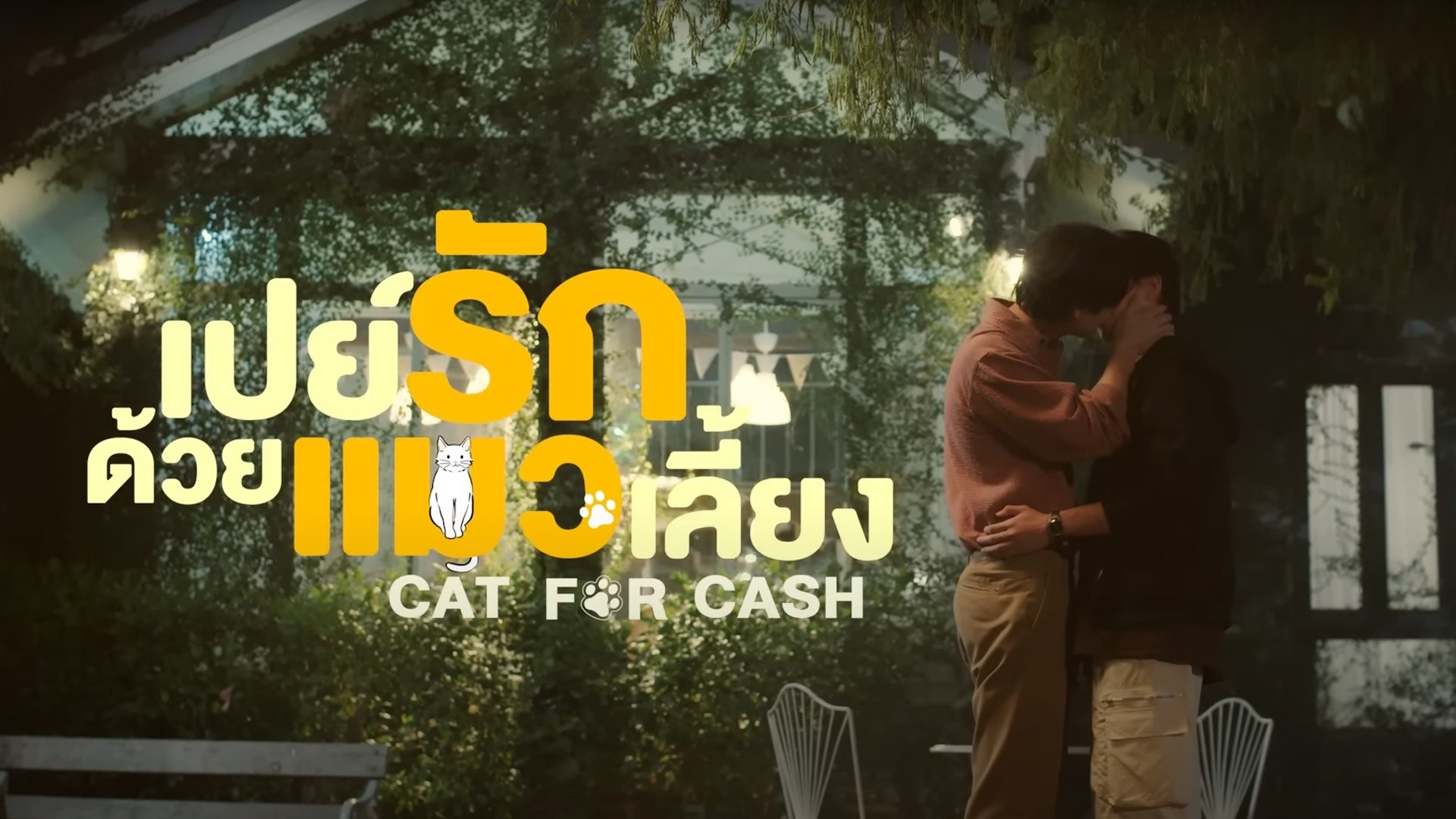 Cat for Cash
