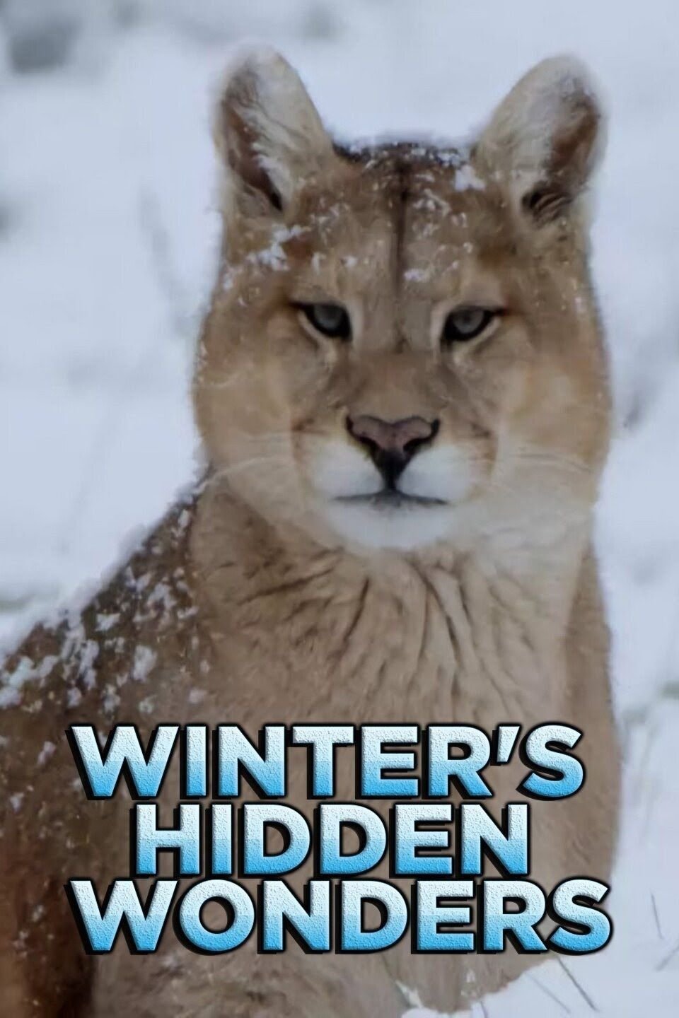 Poster de Maravilhas Ocultas do Inverno