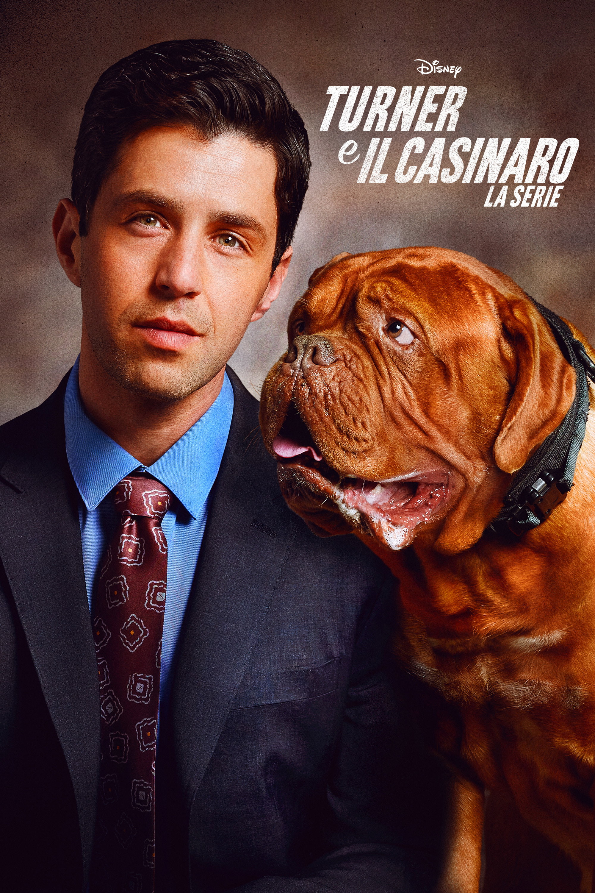 Il Marshall Scott Turner eredita un cane ribelle di nome Hooch, che potrebbe diventare il partner di cui ha bisogno. Insieme al cane e al resto della famiglia Turner, scopre che la morte di suo padre potrebbe non essere stata accidentale