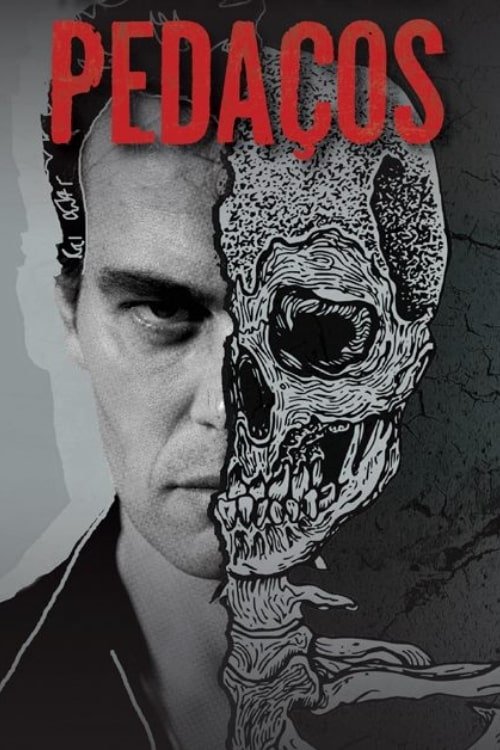 Poster de Pedaços