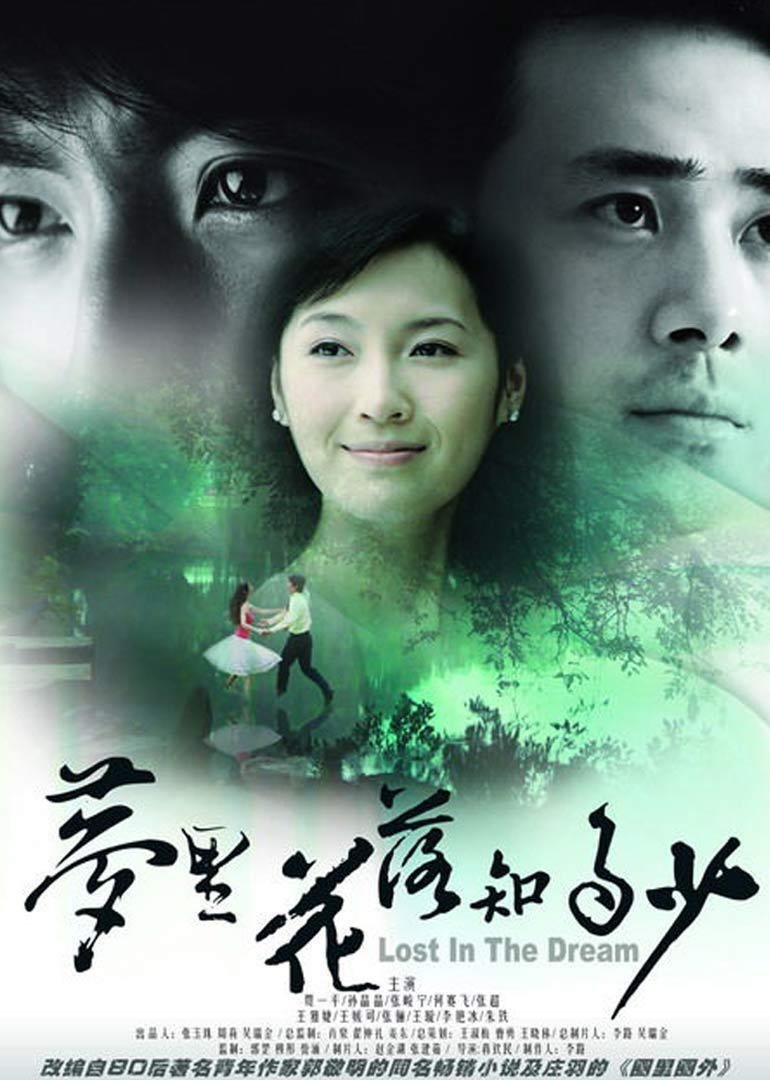 Poster de 梦里花落知多少