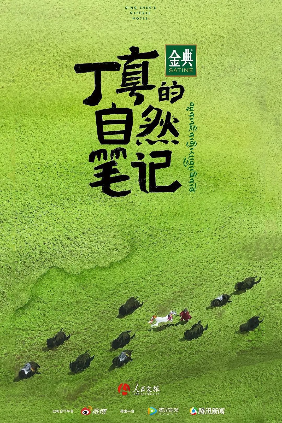 Poster de 丁真的自然笔记