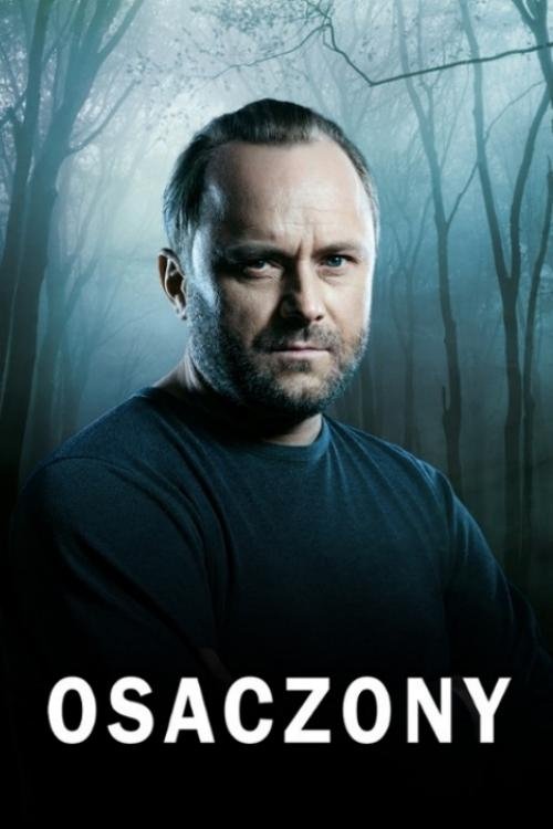 Poster de Osaczony
