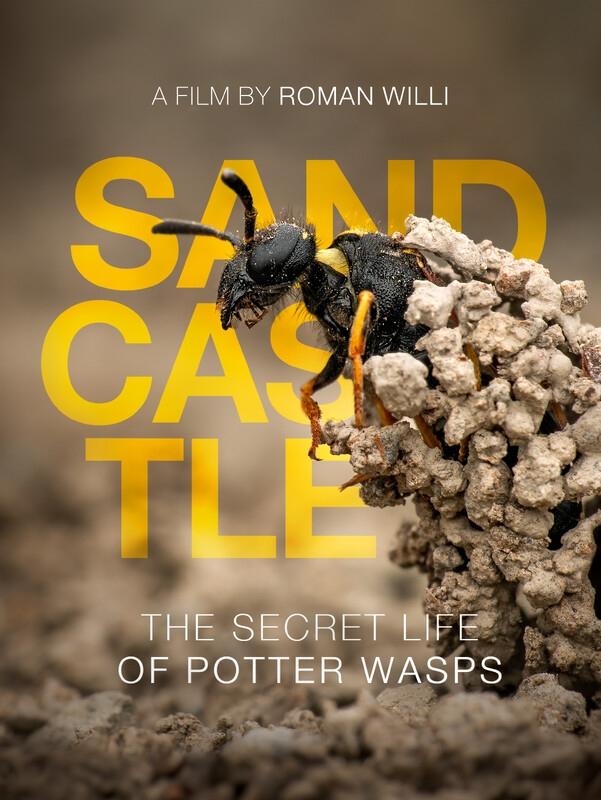 Poster de Sandcastle - The Secret Life Of Potter Wasps