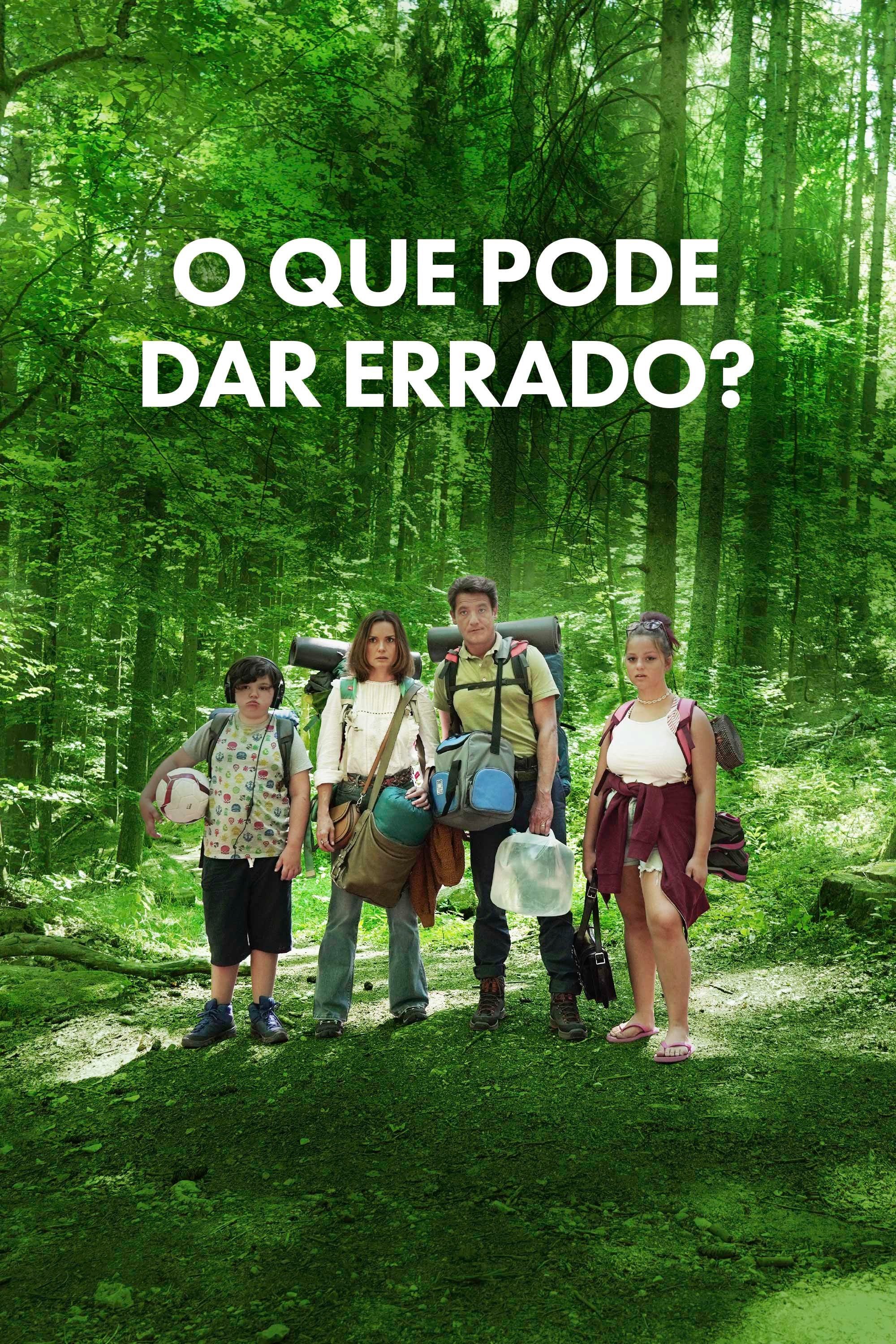 Poster de O Que Pode Dar Errado?