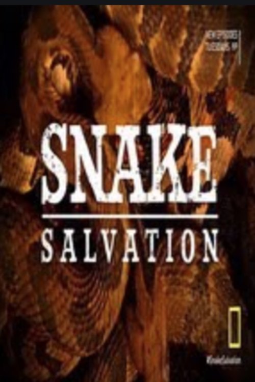 Poster de Snake Salvation