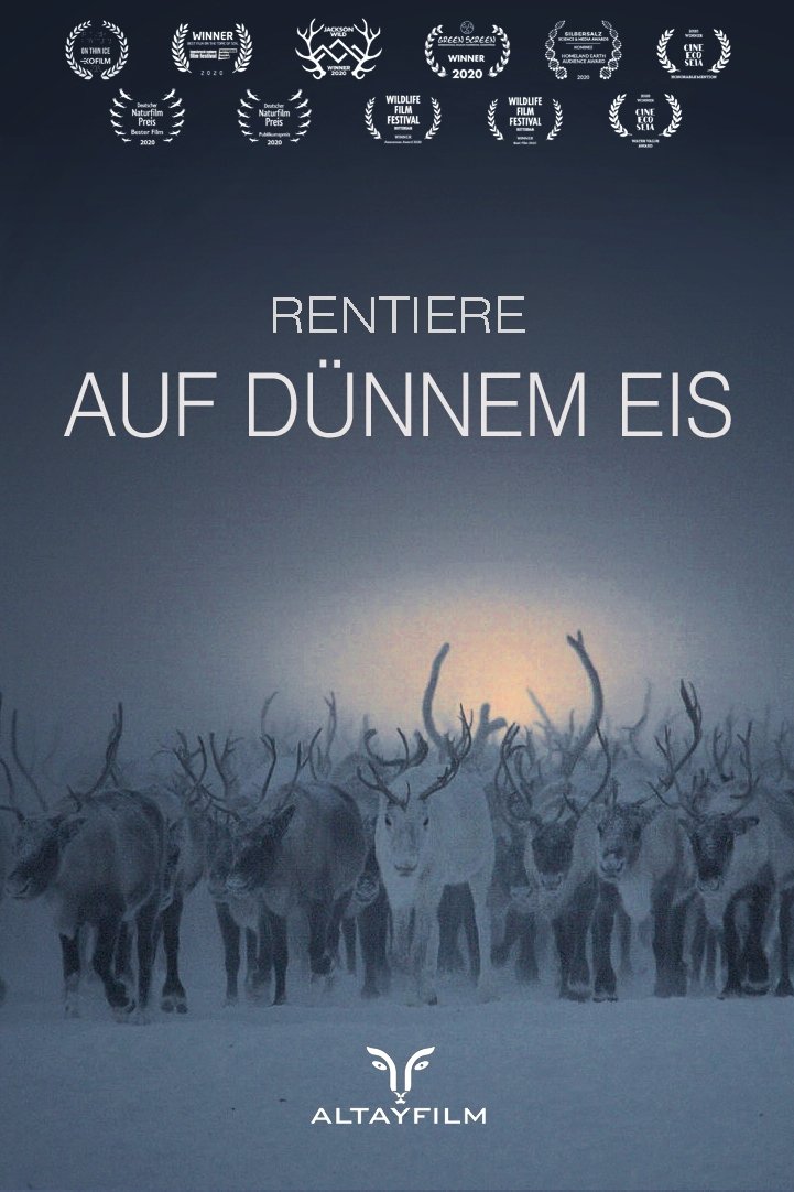 Poster de Rentiere auf dünnem Eis