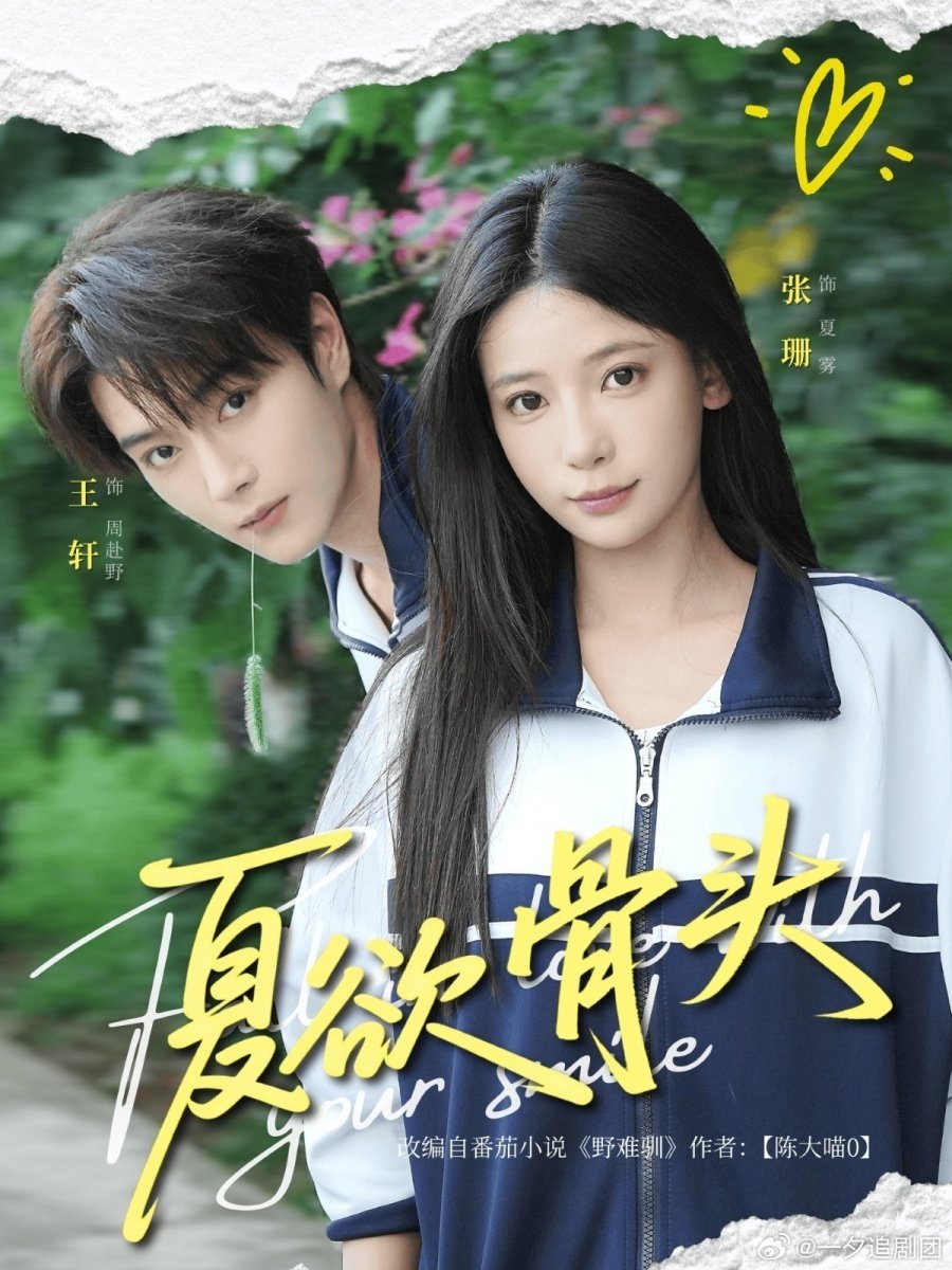 Poster de 夏欲骨头