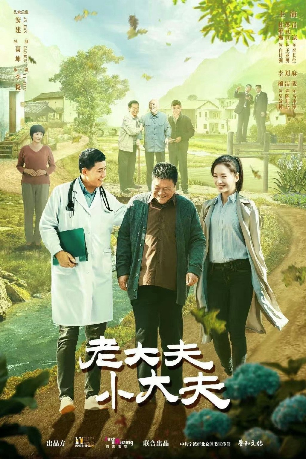 Poster de 老大夫小大夫