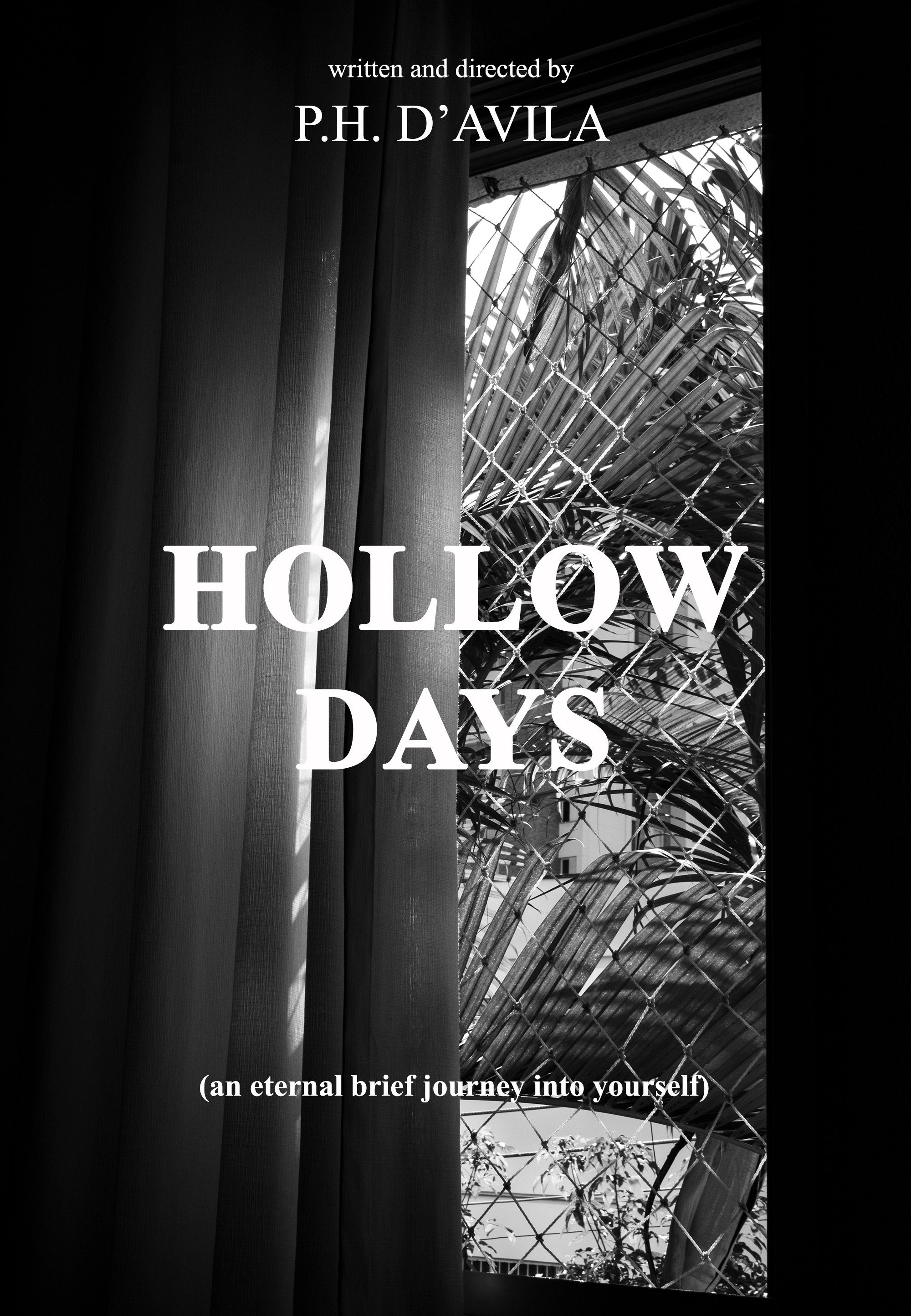 Poster de HOLLOW DAYS - an eternal brief journey into yourself