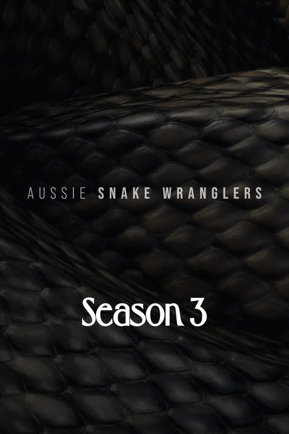 Poster de Temporada 3