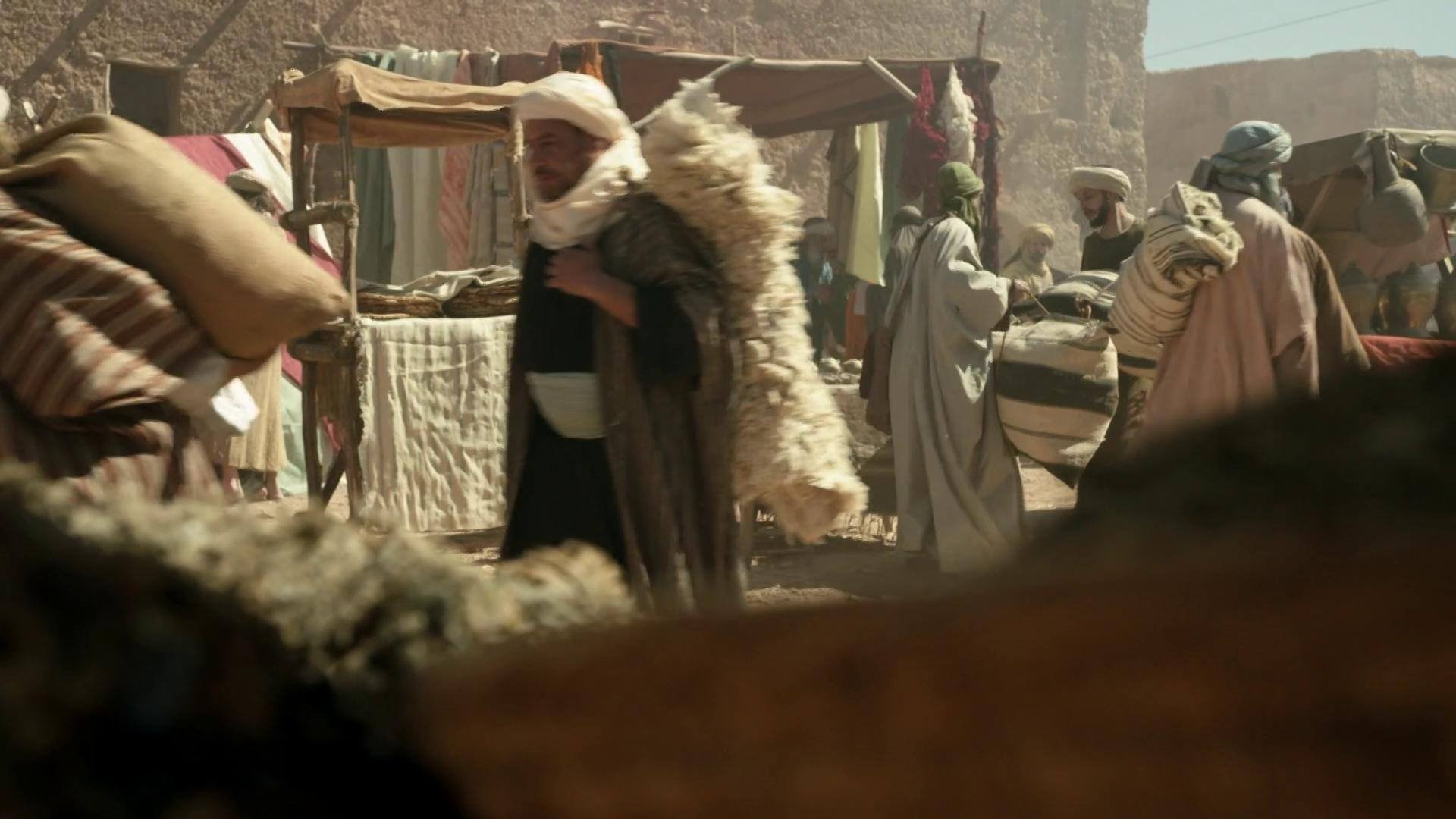 The Arabs