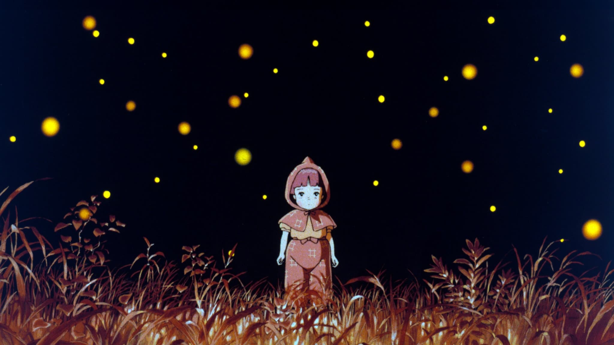 Grave of the Fireflies 1988 123movies