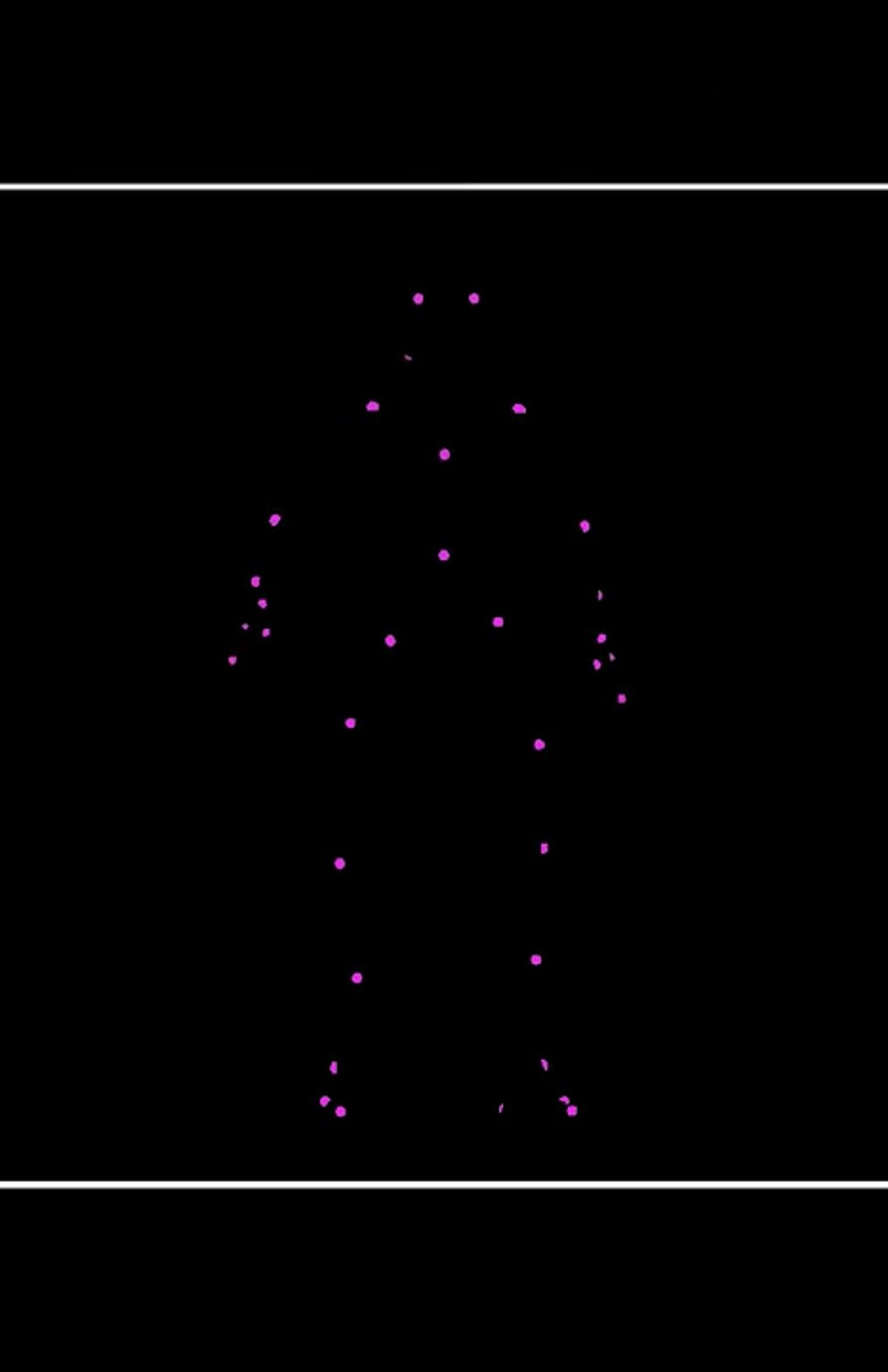 Network Reconstruction Of Nematode Symbionts