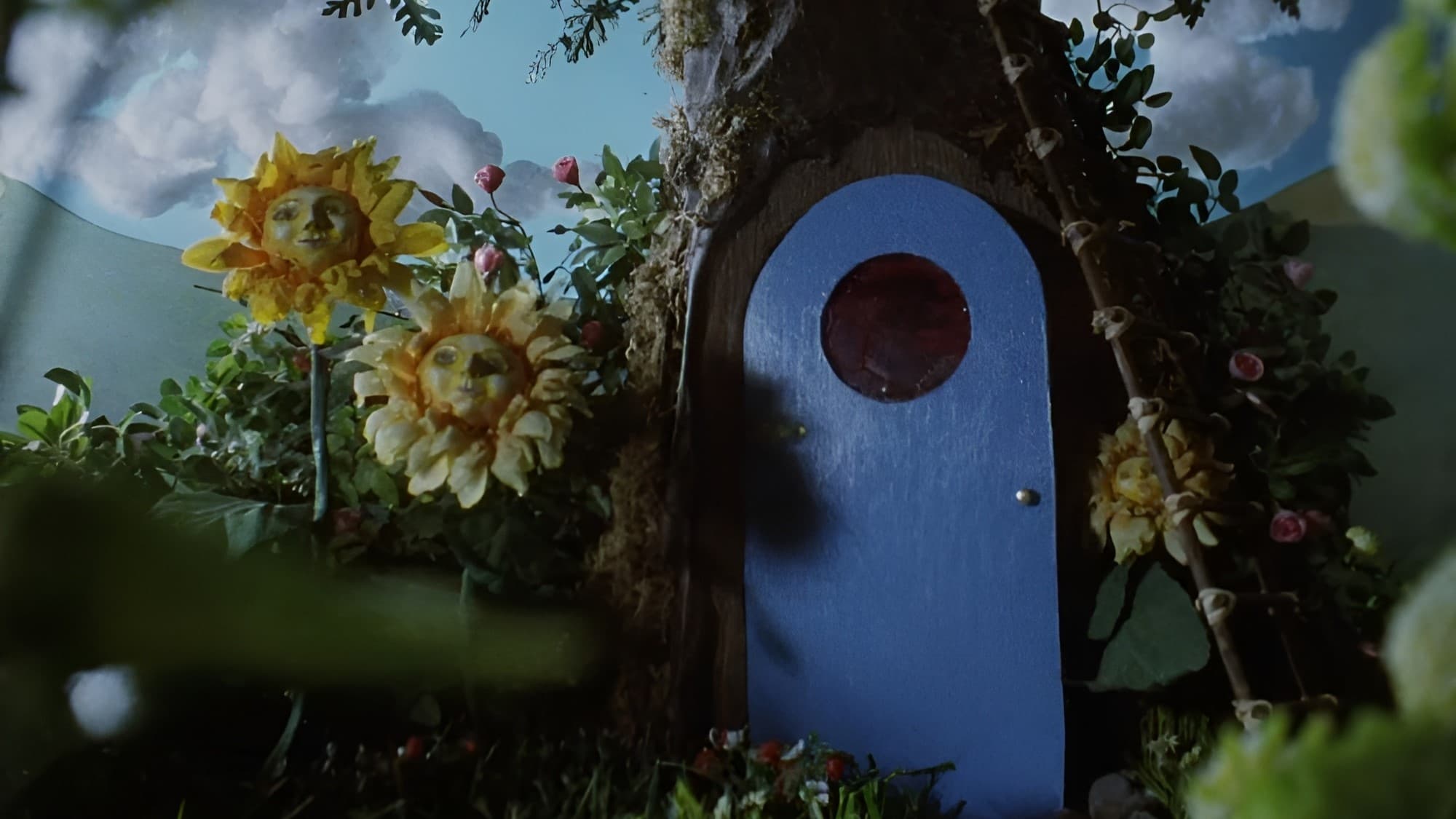 Backdrop image