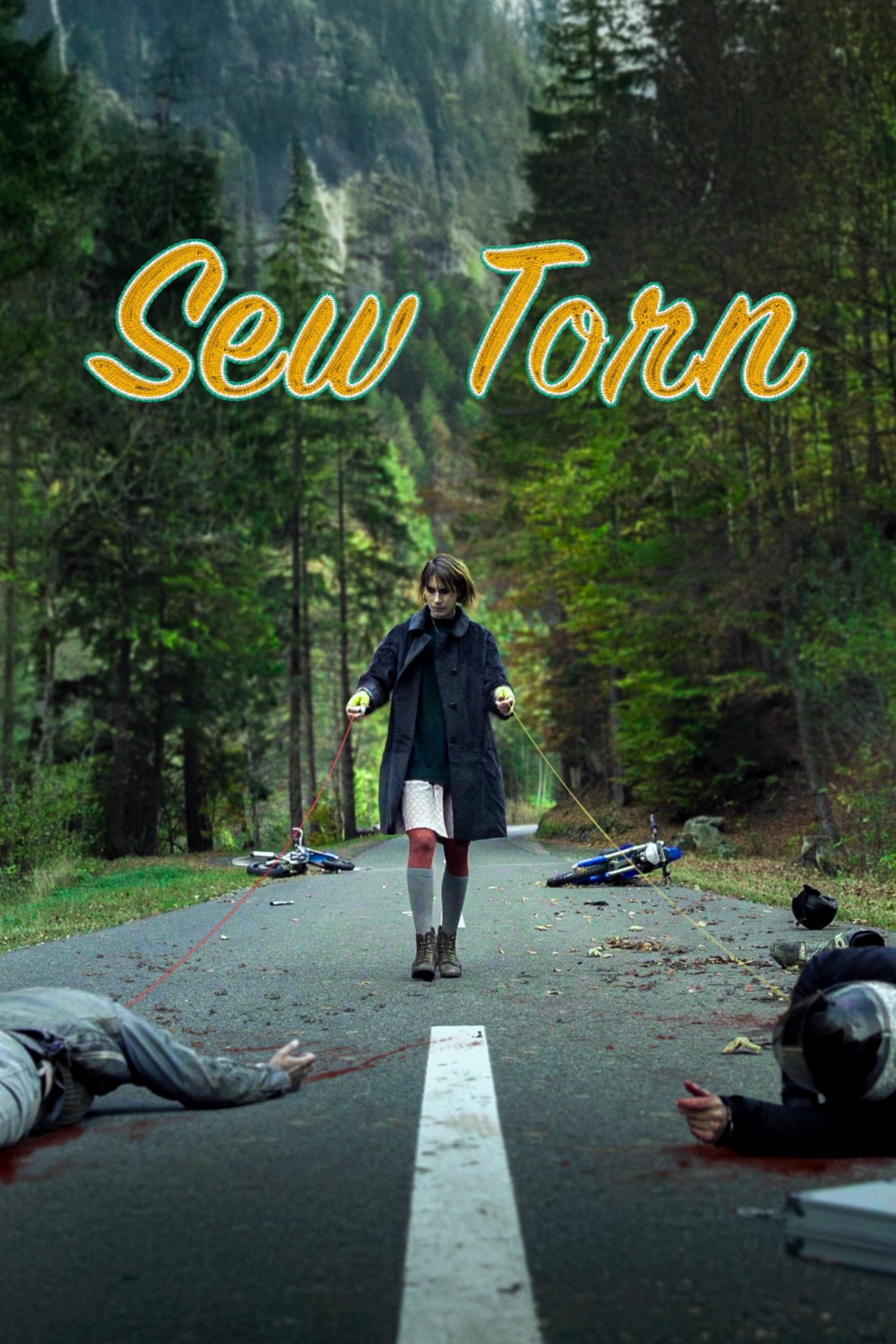 Poster de Sew Torn