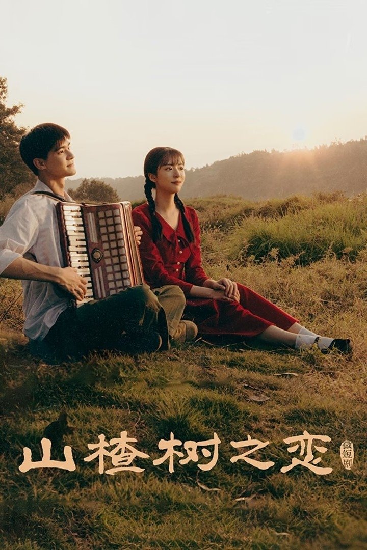 Poster de 山楂树之恋