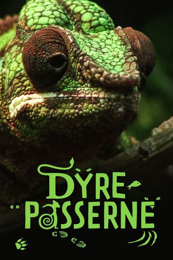 Poster de Temporada 13