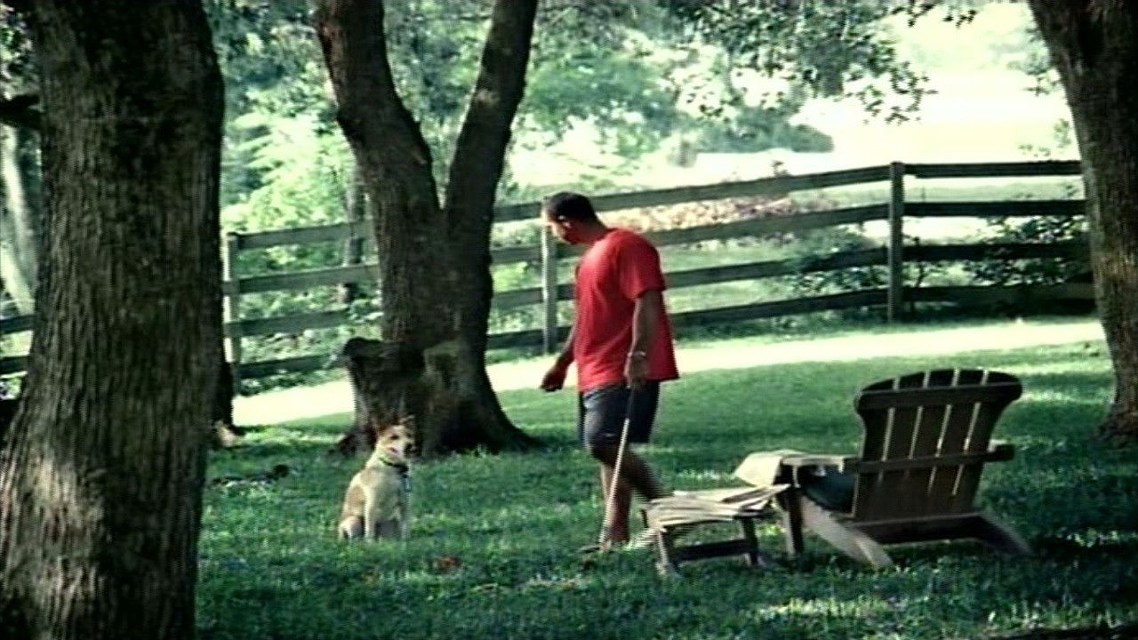 Tiger's Prints - Tiger's Spots