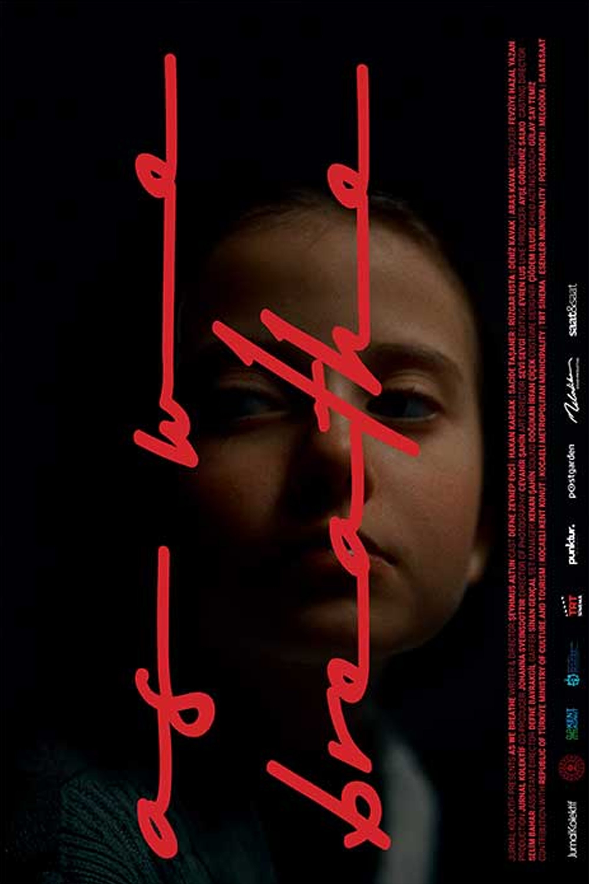 Poster de Aldığımız Nefes