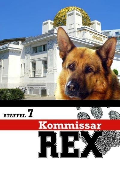 Poster de Temporada 7