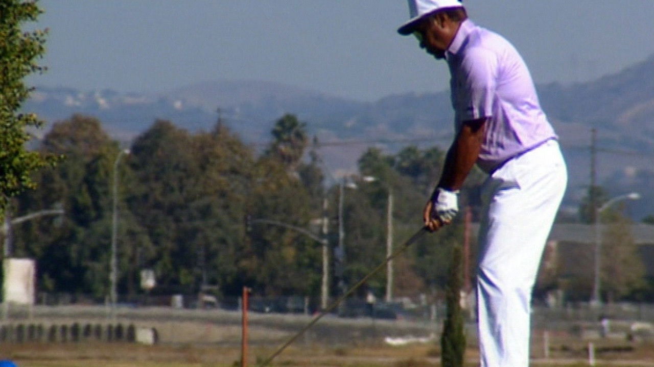 Tiger's Prowl - Tiger Talk