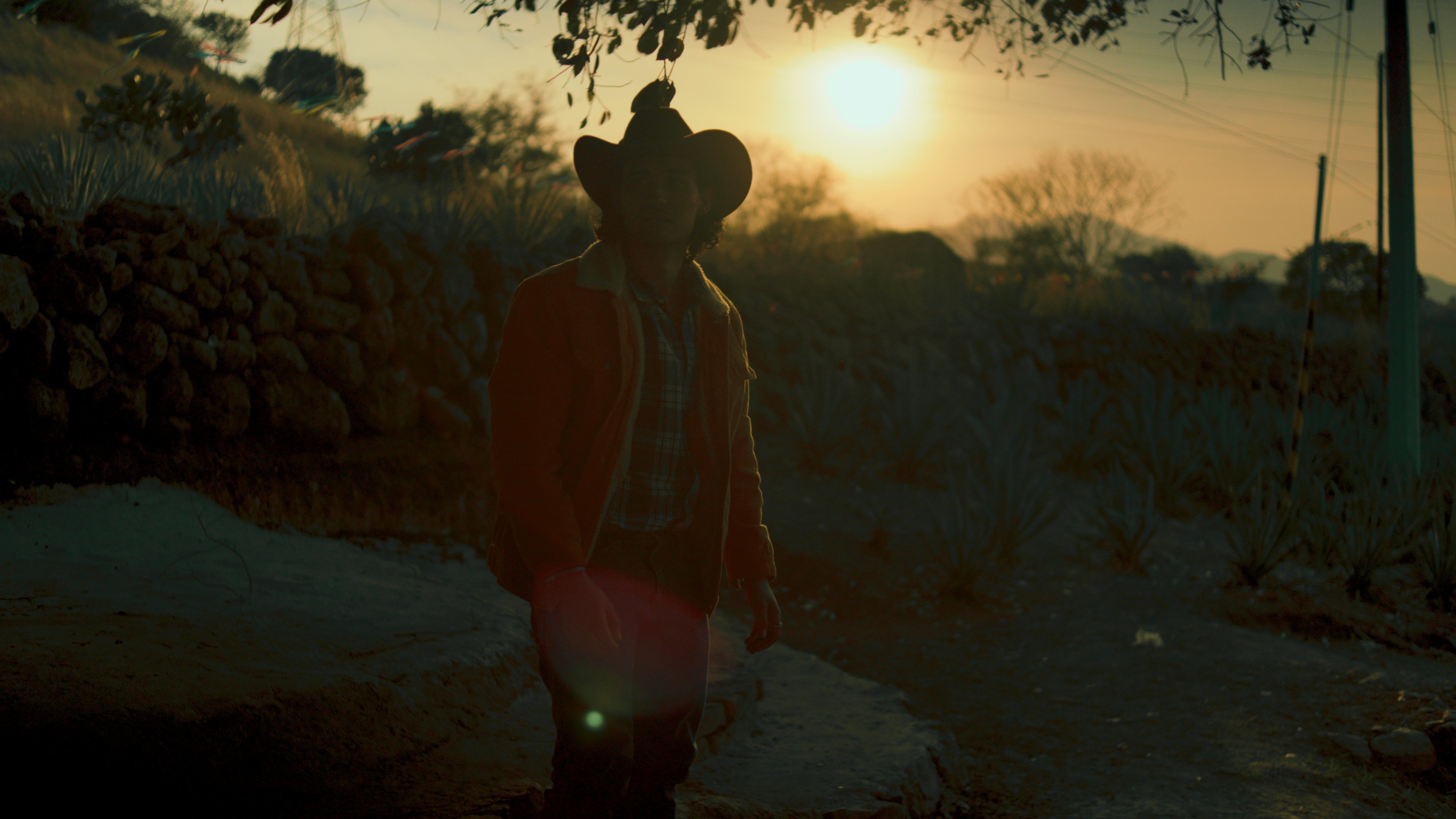 Backdrop image
