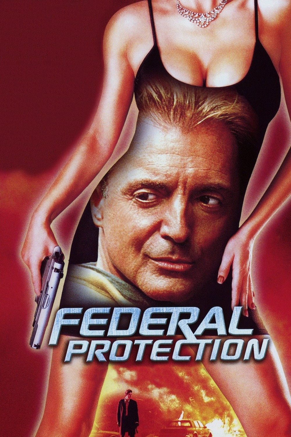 Affiche du film Federal Protection