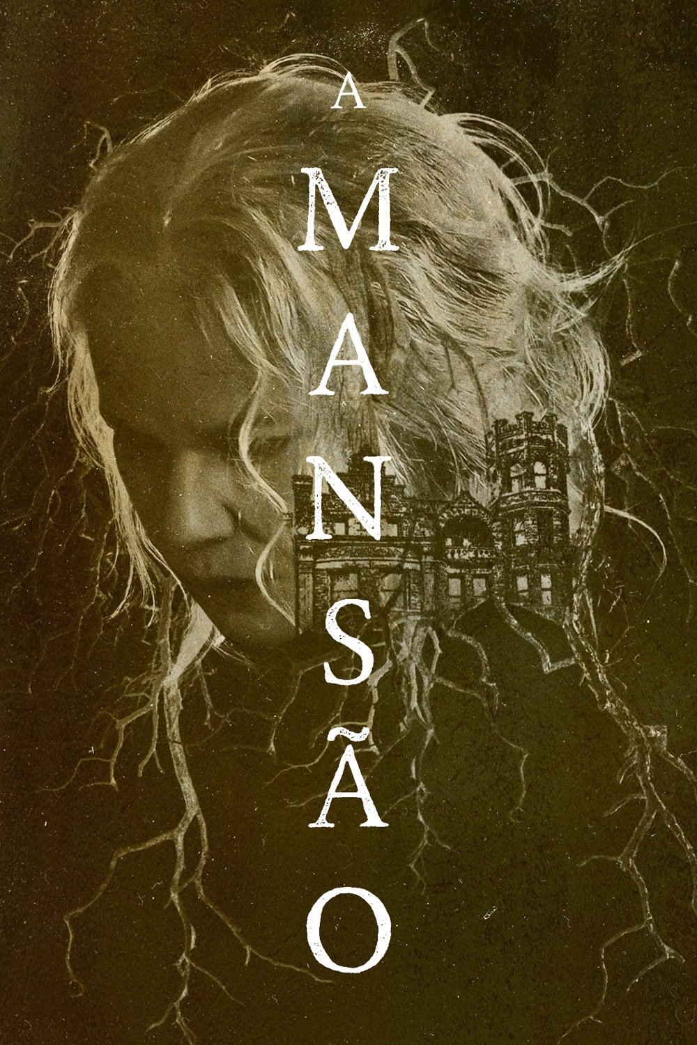 Poster de A Mansão