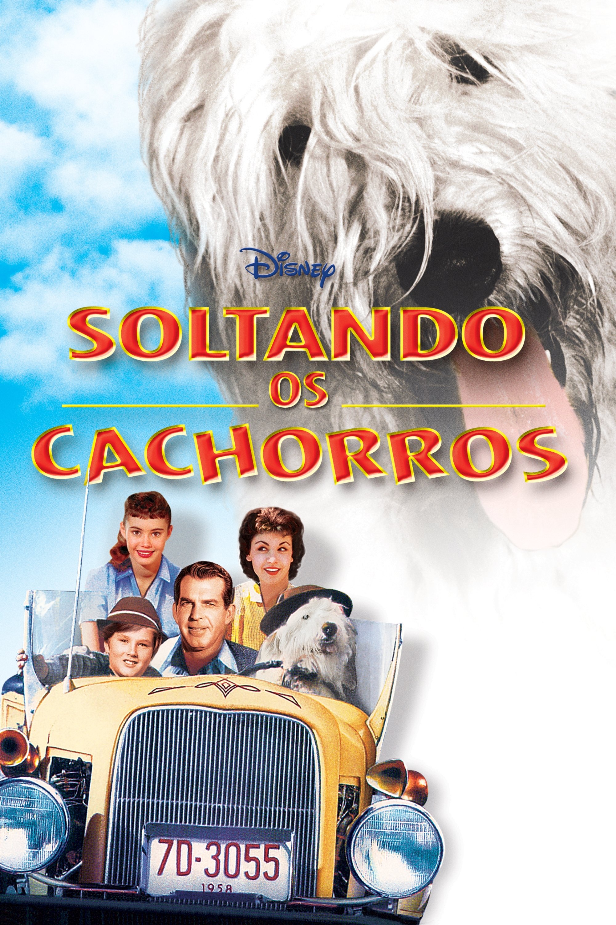 Poster de Felpudo, O Cão Feiticeiro