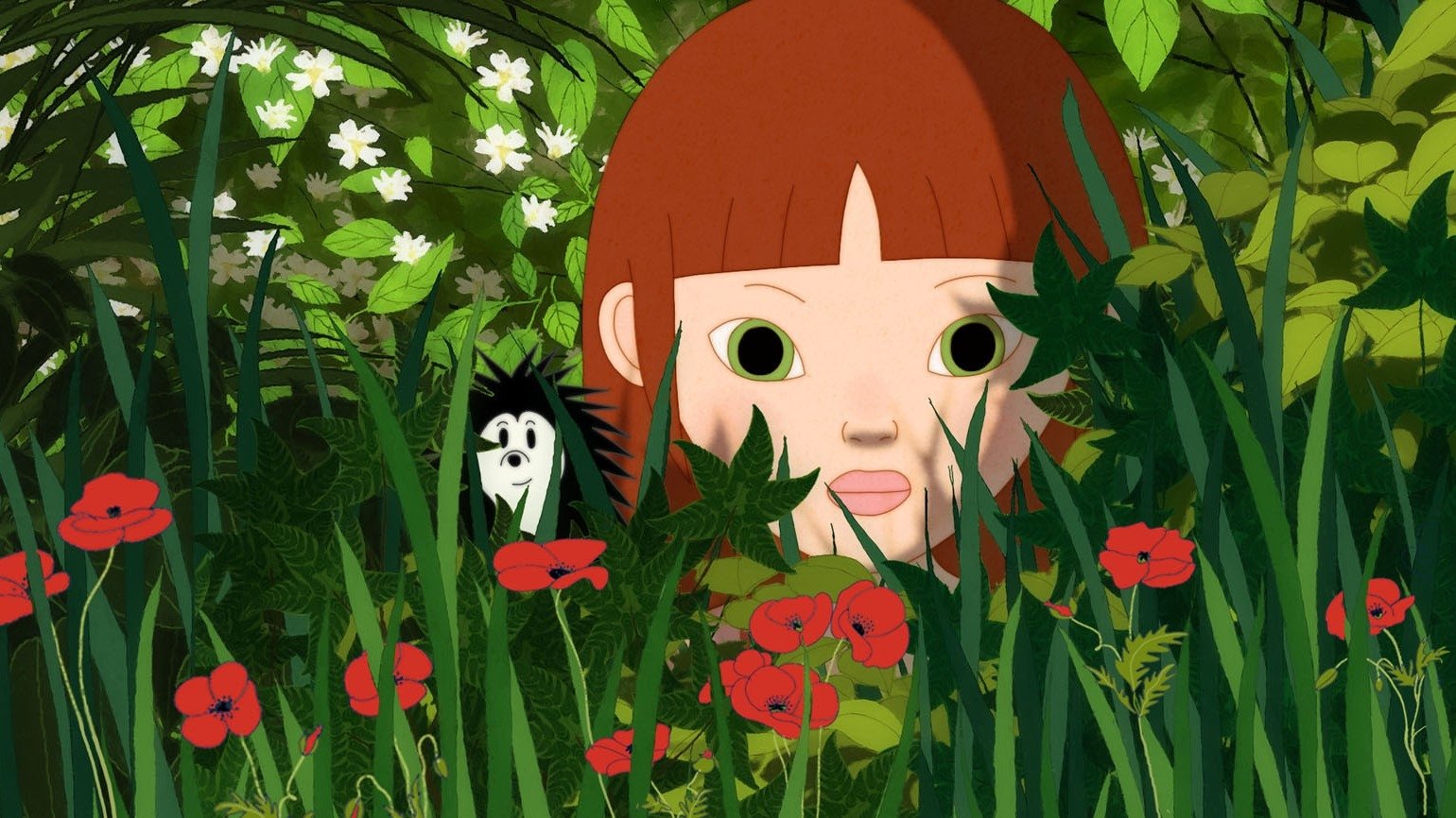 Backdrop image