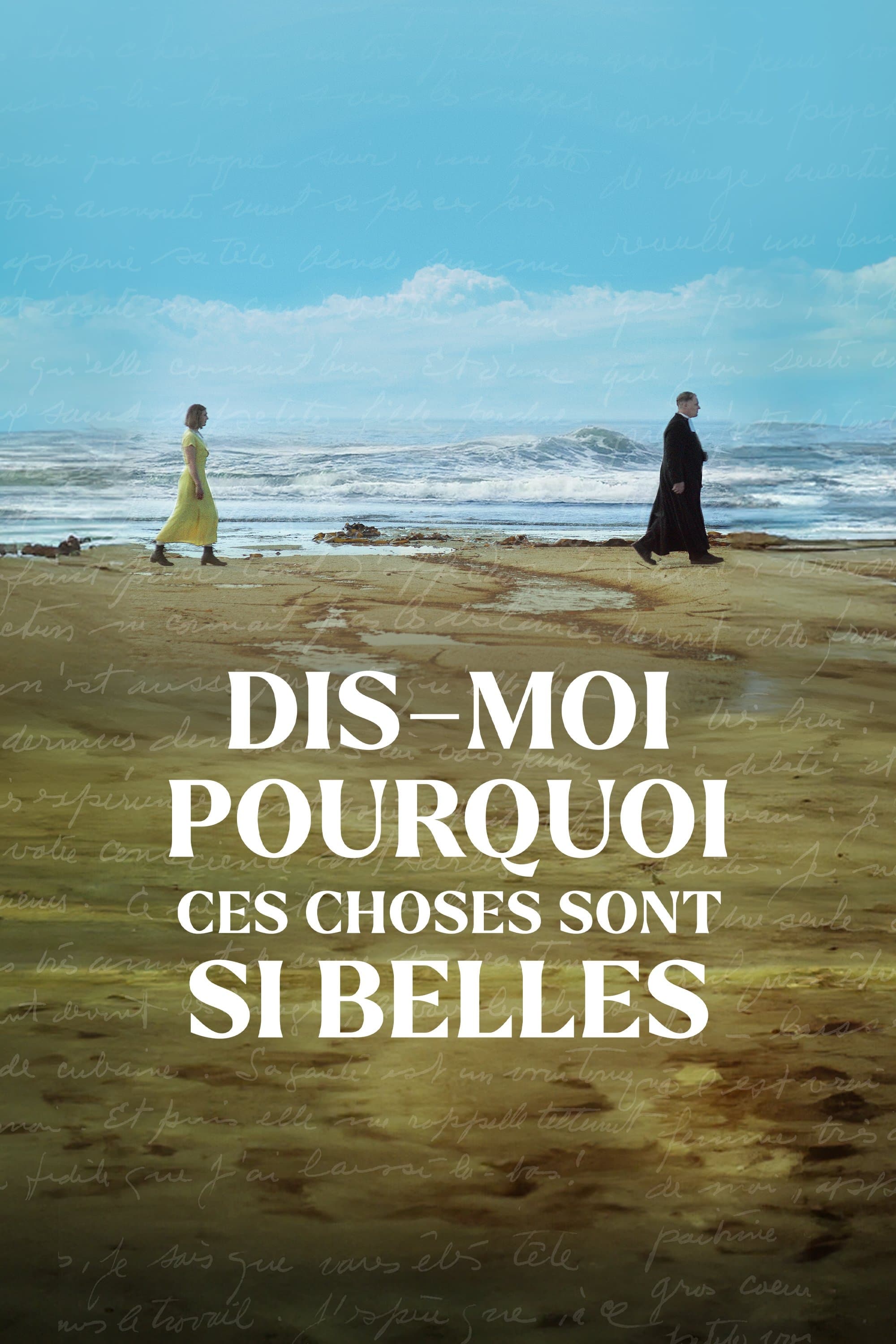 Poster de Dis-moi pourquoi ces choses sont si belles