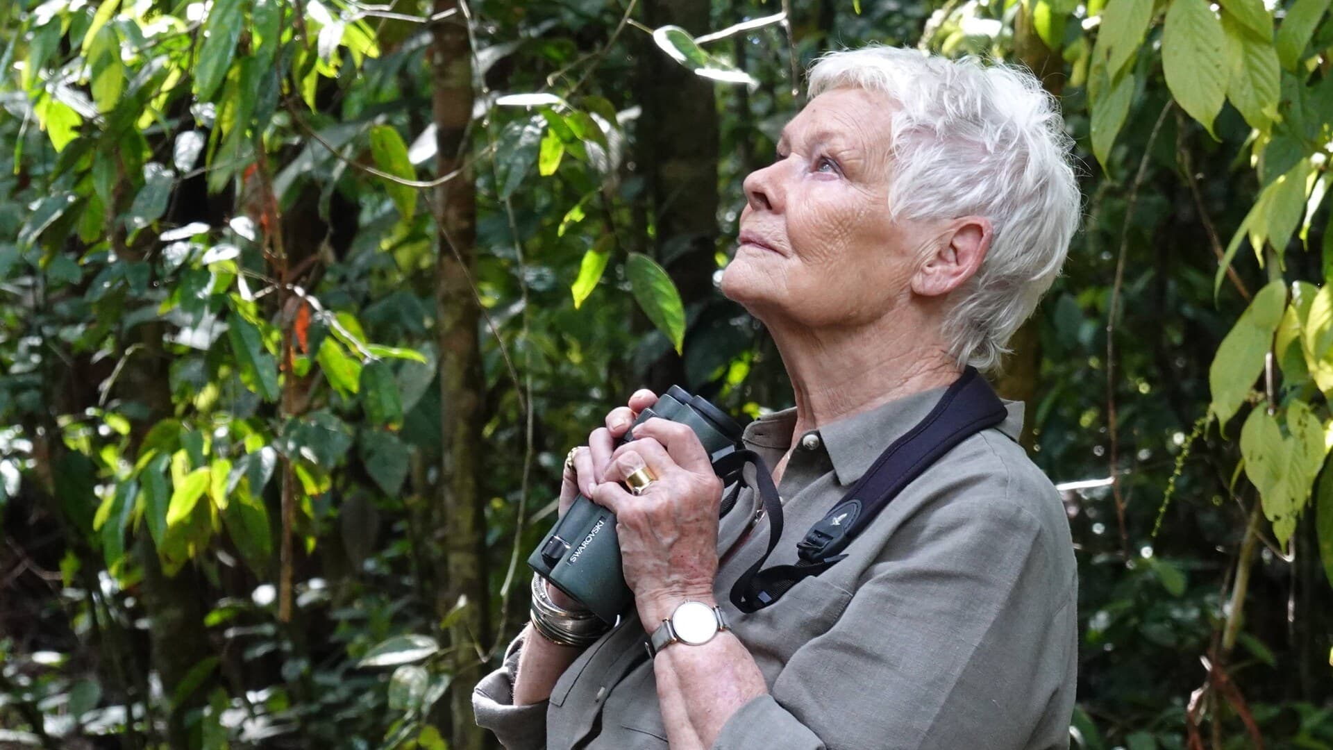 Judi Dench's Wild Borneo Adventure