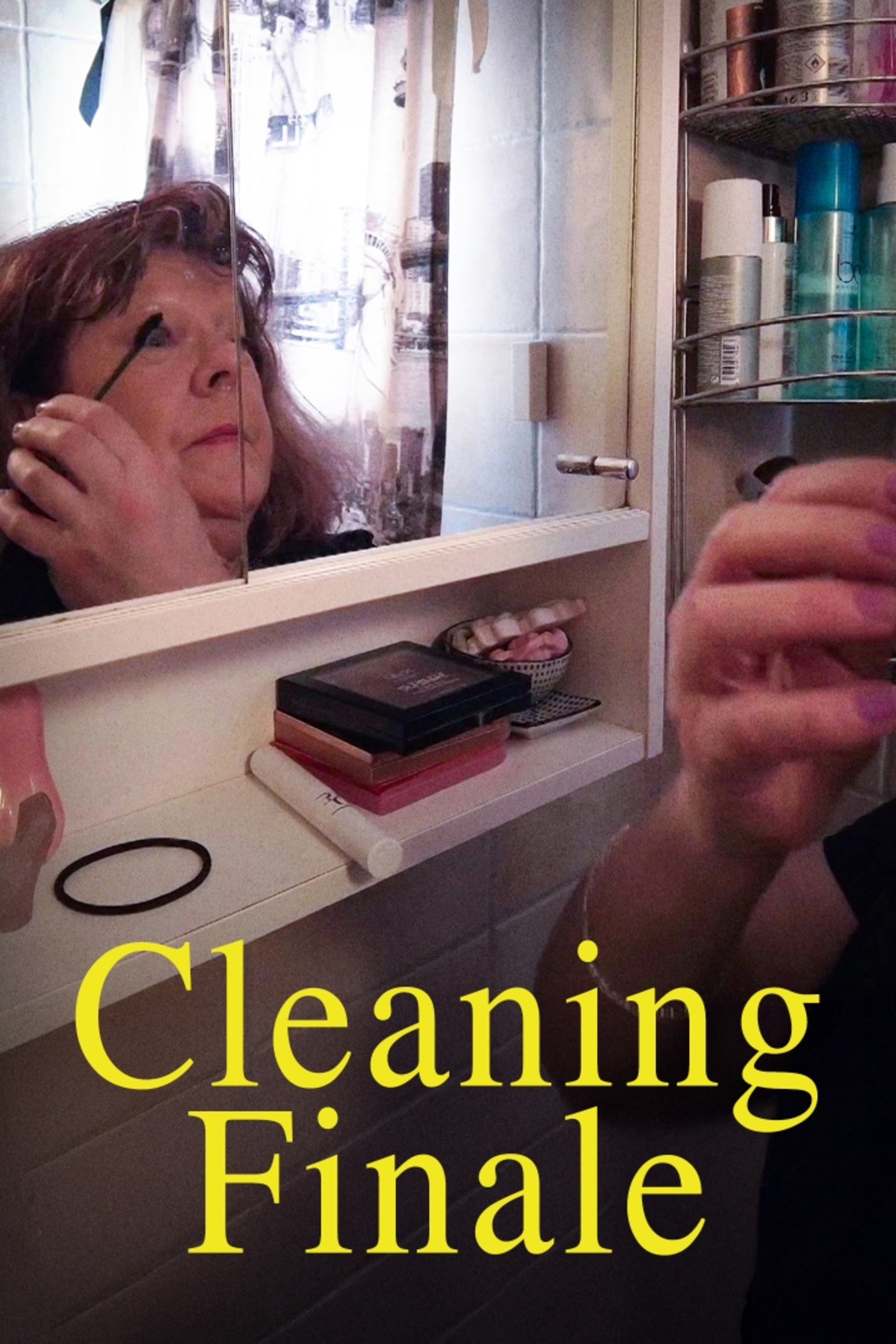 Poster de Cleaning Finale